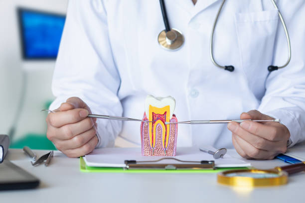 Best Tooth Pain Emergency Relief  in Stone Park, IL